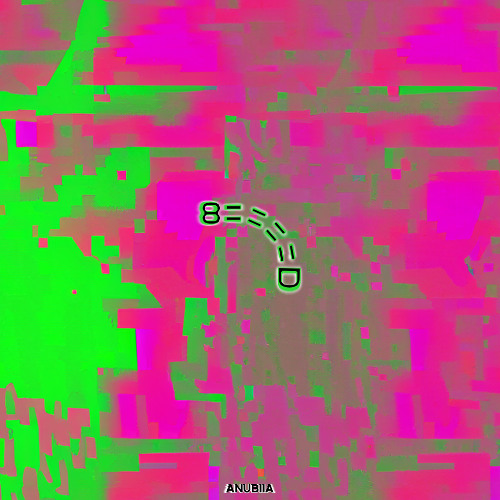 Penis