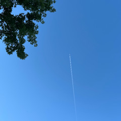Linear Trace