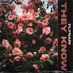 FlyNari - They Know