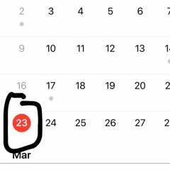 0223 Freestyle - HD and Johnny King