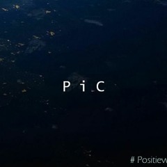 P.I.C #2