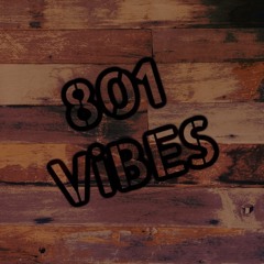 801-ViBES