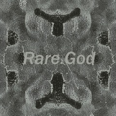 Rare God - Octopus And Fur Seal