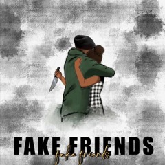 'fake friends'