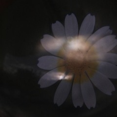 Innerdance / نشوة