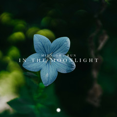 In the Moonlight