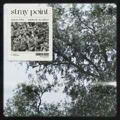 Stray Point - Guess Why