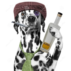 i cant talk to u so i make dogshit music instead lol