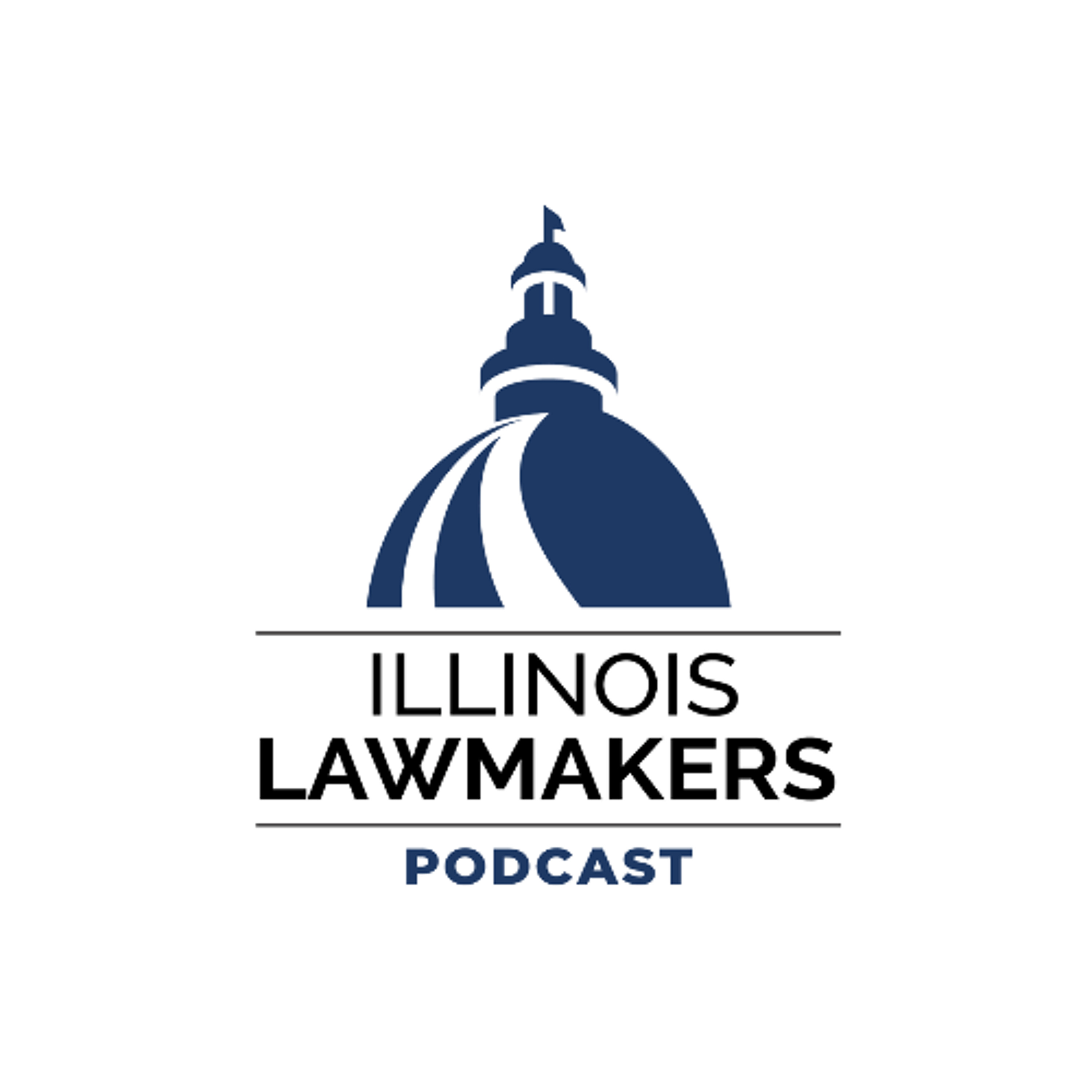 Illinois Lawmakers: Veto Session 2024