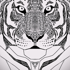 Black and White Tigers