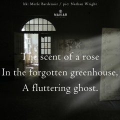 Scent Of A Rose(NaviarHaiku483)