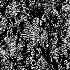 SKD | Kalve (preview)