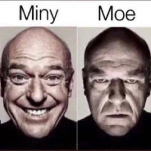 You Did This - Scattle