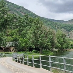 El comerciant de teles