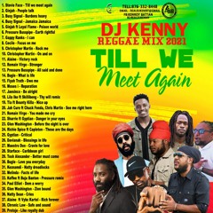 Dj kenny TILL WE MEET AGAIN reggae mix