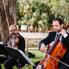 String Duo - Sunset Strings