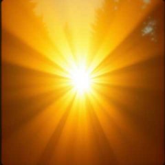 Bonus Track 2: Du Funke Gottes, leuchte! (Live)