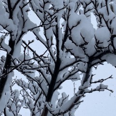 Das ist Januar