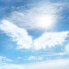 The Refresher - My Angel