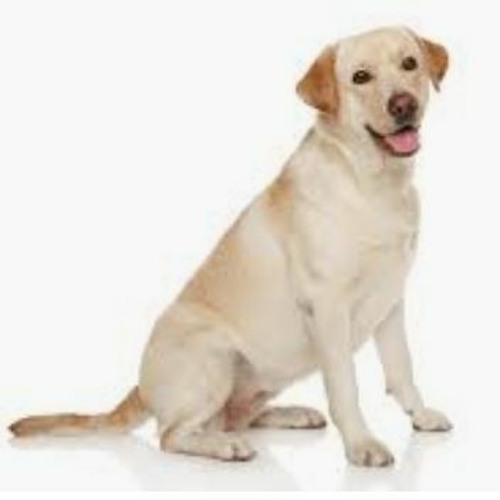 things to think about