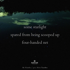 SONG 128 - NaviarHaiku620 - Four-Handed Net