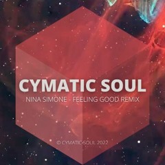 CymaticSoul - Nina Simone -Feeling Good Remix
