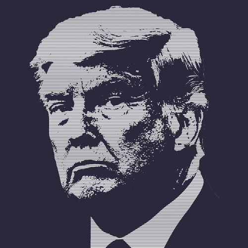 TRUMP VICTORY & THE FALLOUT - 11.19.2024