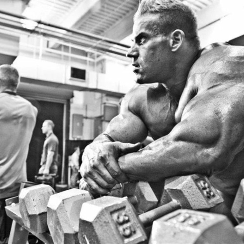 "Mindset' Jay Cutler - NO ONE LISTENS  (VALOUS ISRAFIL) | Edit x Reverb