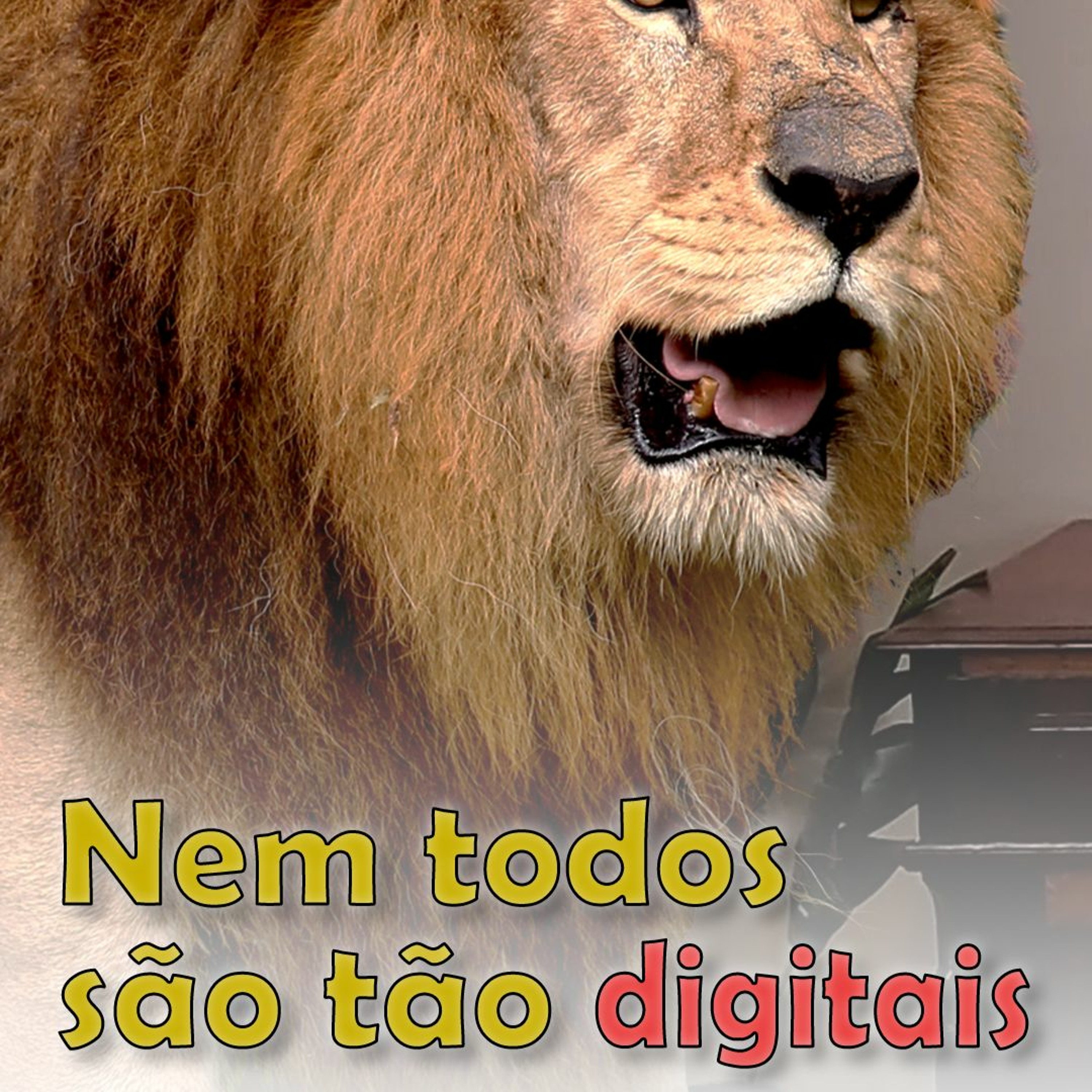 O Macaco Elétrico