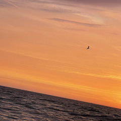 how life goes(p ilystanded)