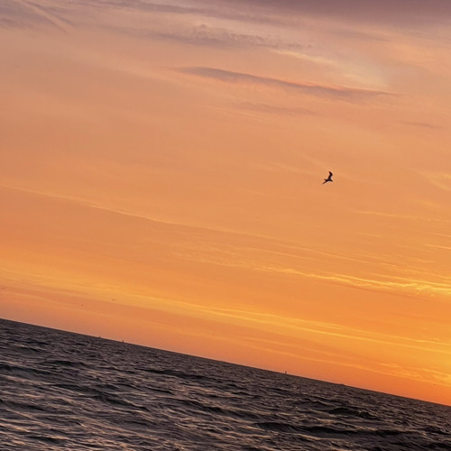 how life goes(p ilystanded)