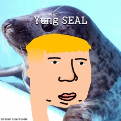 Yung SEAL w/ Zarrcotix