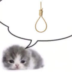 輪廻