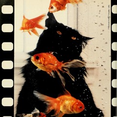 𝓢𝓲𝓷 𝓮𝓼𝓹𝓮𝓻𝓪𝓻 𝓷𝓪𝓭𝓪 𝓪 𝓬𝓪𝓶𝓫𝓲𝓸...