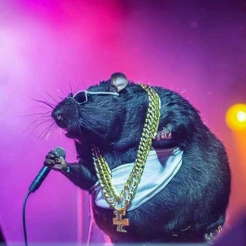 The Ultimate Playlist