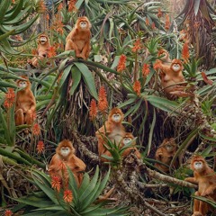 UND - Big Jungle Tree (***for labels***) NO MASTER
