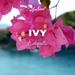 Edapollo - Ivy