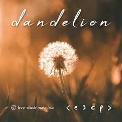 Dandelion