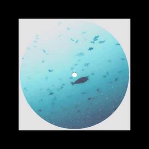 KETTAMA - PALMS