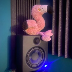 Flamingo in the House