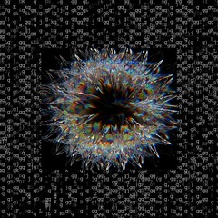 Carina Nour - Flutter