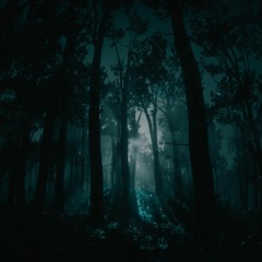 Egocent -  Reflections In The Woods (WIP)