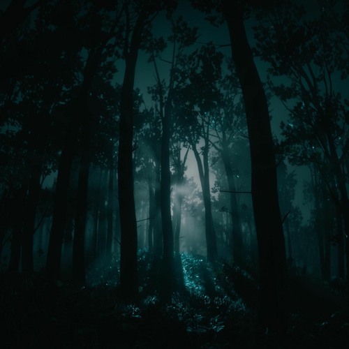 Egocent -  Reflections In The Woods (WIP)