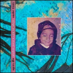 Piadas Para o Céu Se Abrir - AYRES DBX • Smoke Trees