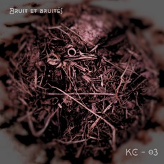 Bruit et bruités - Guntir (KC-03)