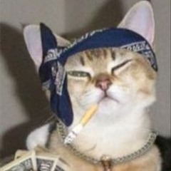 lullaby (crip cat song)