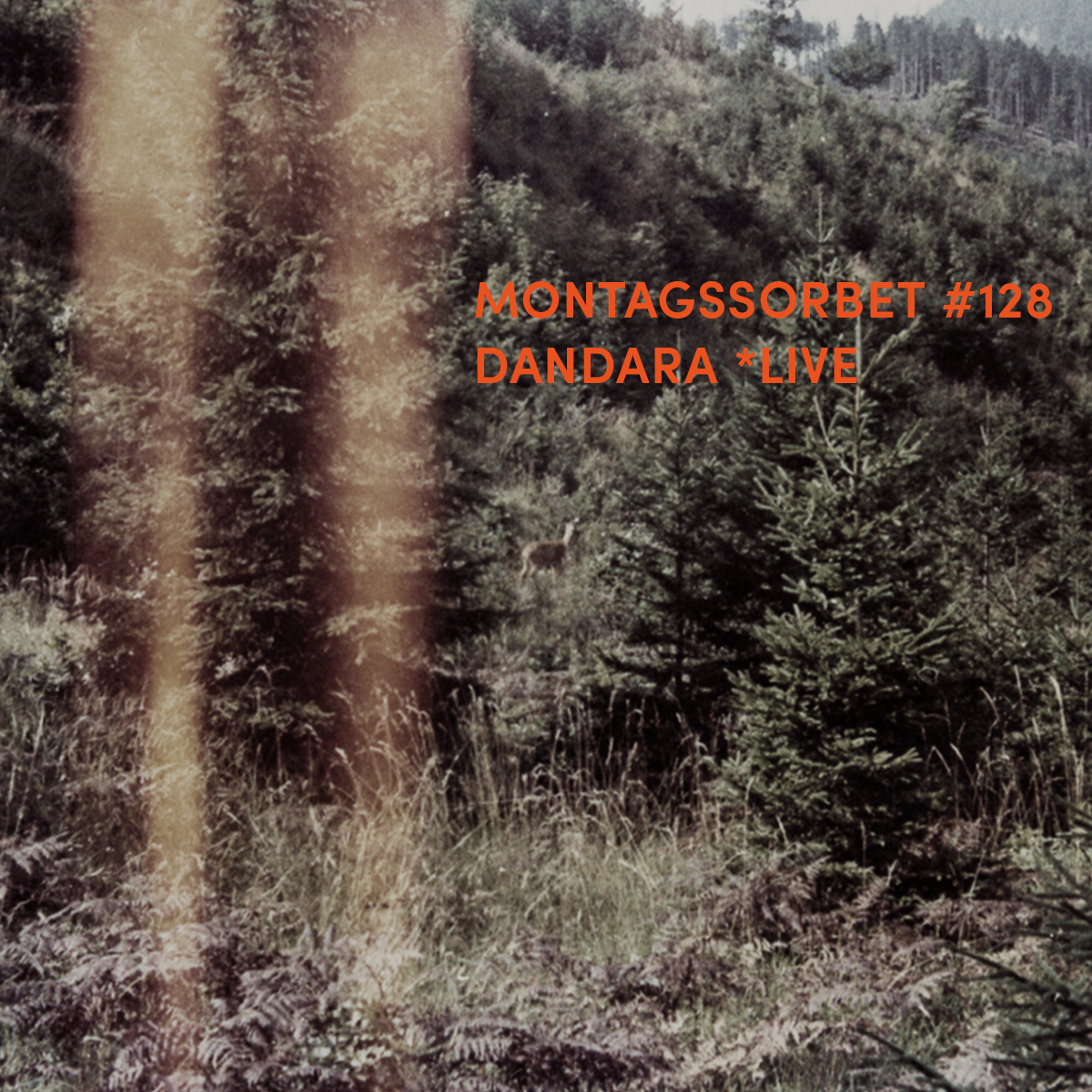 Montagssorbet mit Laut & Luise