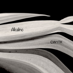 CW1TK (Audaz 230)