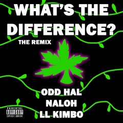 What's the Difference [Remix]