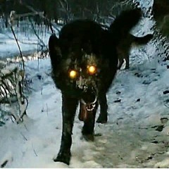 Angel Of Rave - Death Meaning 390BPM